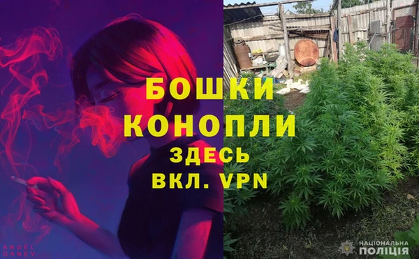 твердый Инсар