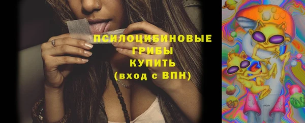 твердый Инсар