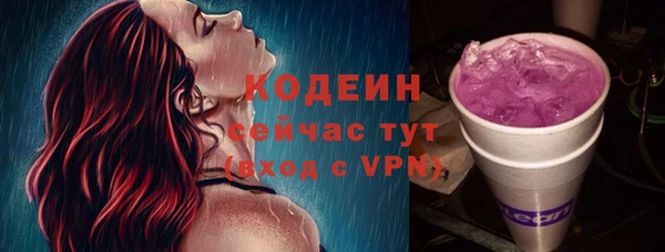 твердый Инсар