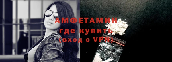 твердый Инсар