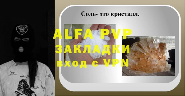 твердый Инсар