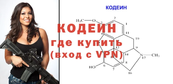 твердый Инсар