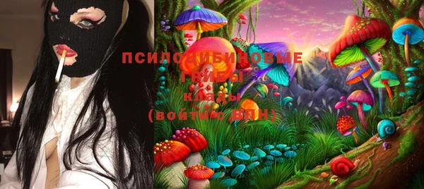 дурь Иннополис