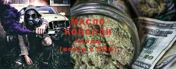 твердый Инсар