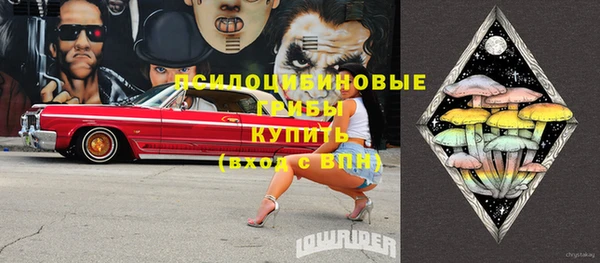 дмт Инта