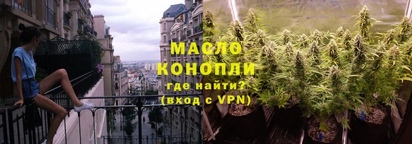 дмт Инта