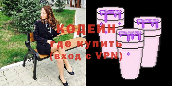 дмт Инта