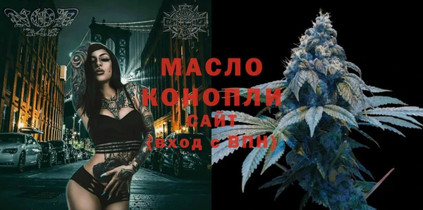 дмт Инта