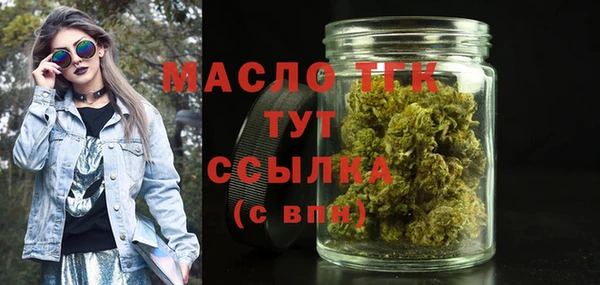 дмт Инта