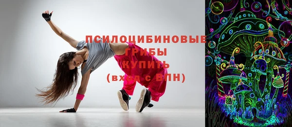 дмт Инта