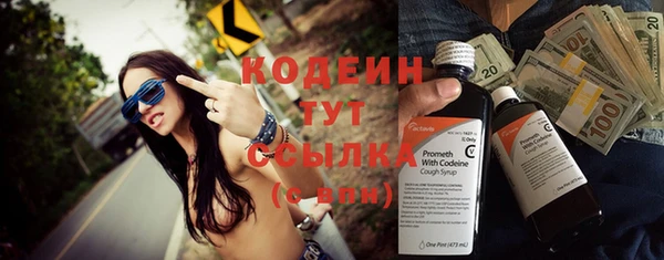 дмт Инта