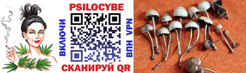 Псилоцибиновые грибы ЛСД Бугульма